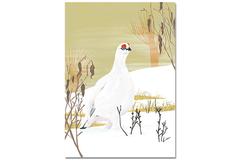 Postkarte Schneehuhn