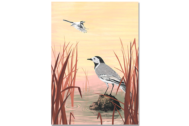 Postkarte Bachstelze