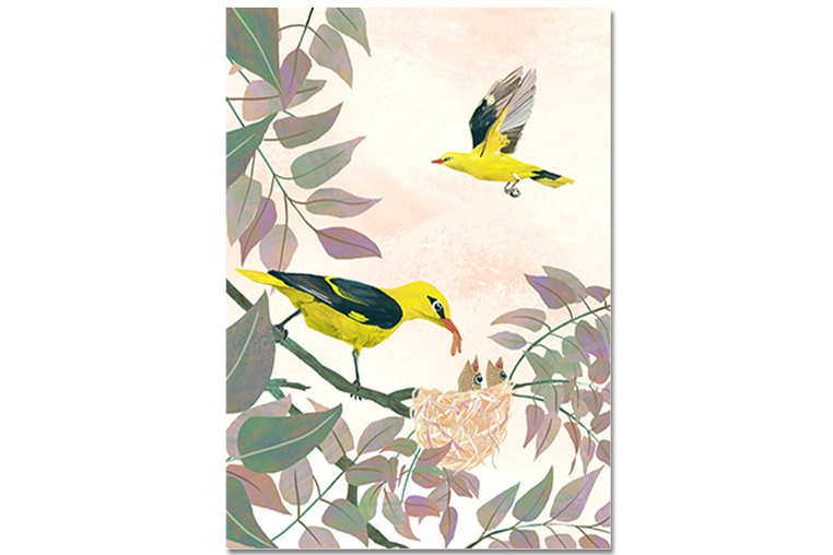 Postkarte Pirol