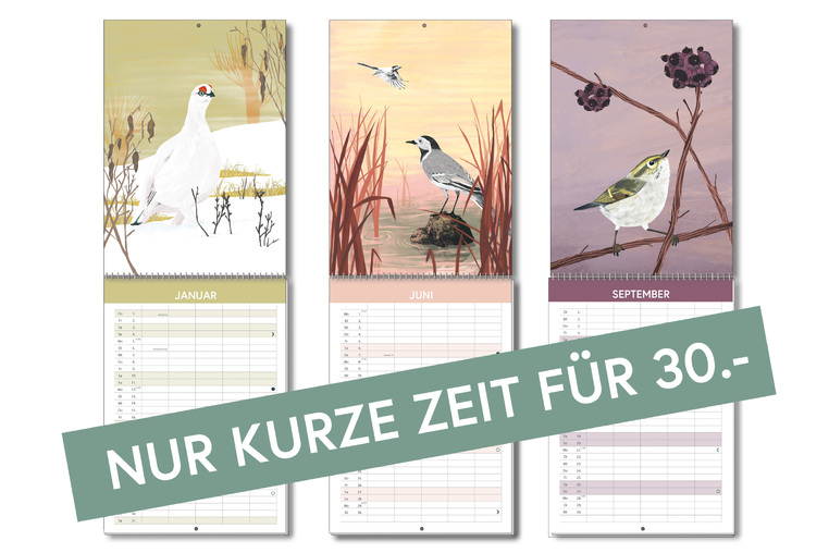 Familien Planer Kalender 2026