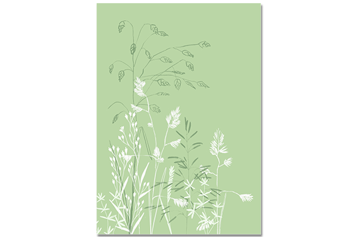 Postkarte Gräser