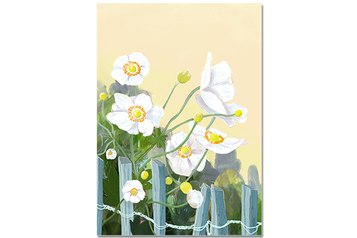 Postkarte Anemone
