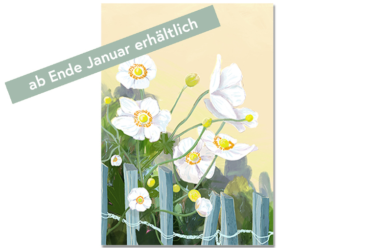 Postkarte Anemone