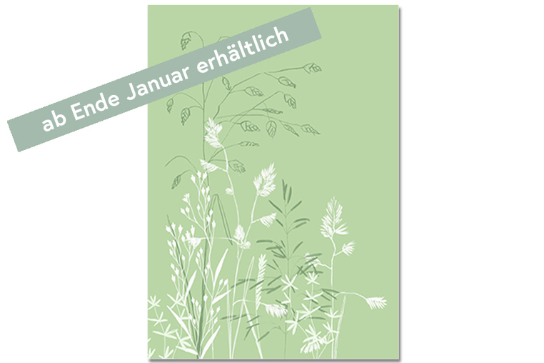 Postkarte Gräser
