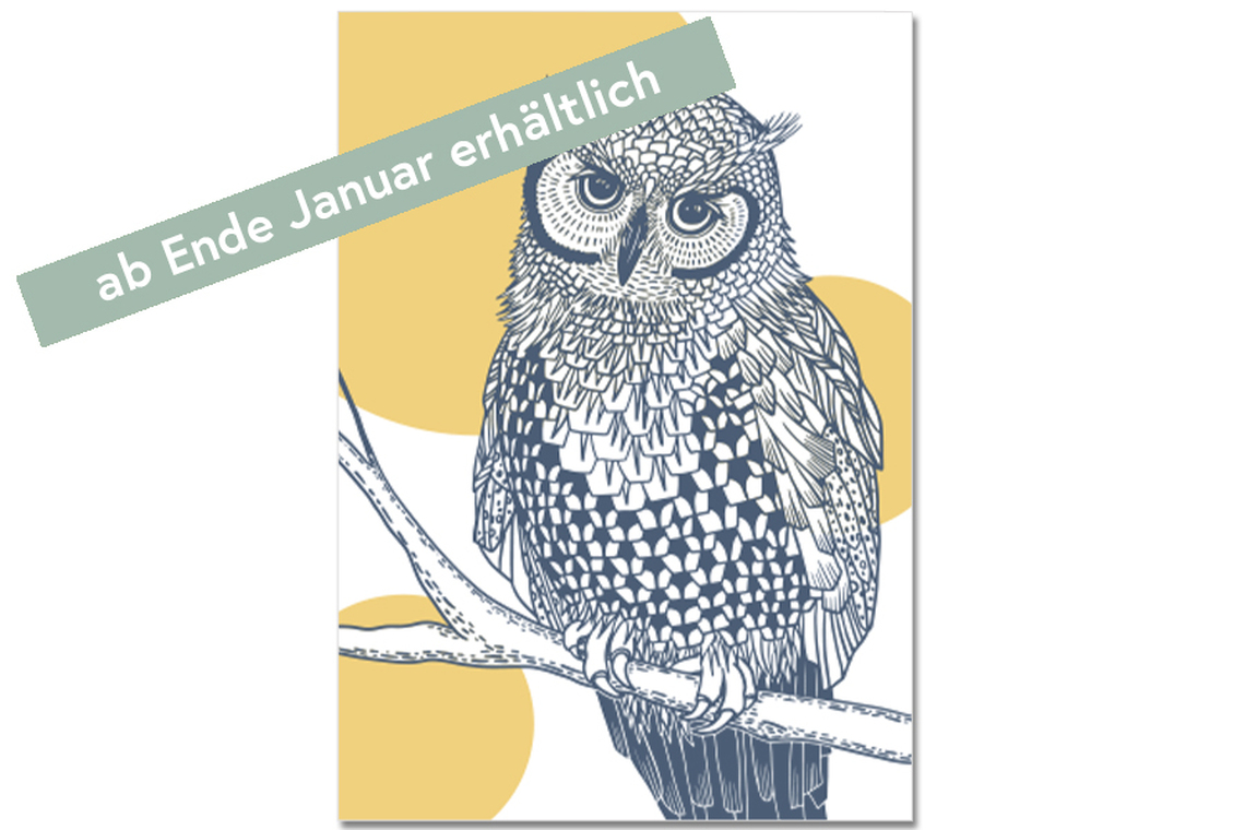 Postkarte Käutzchen