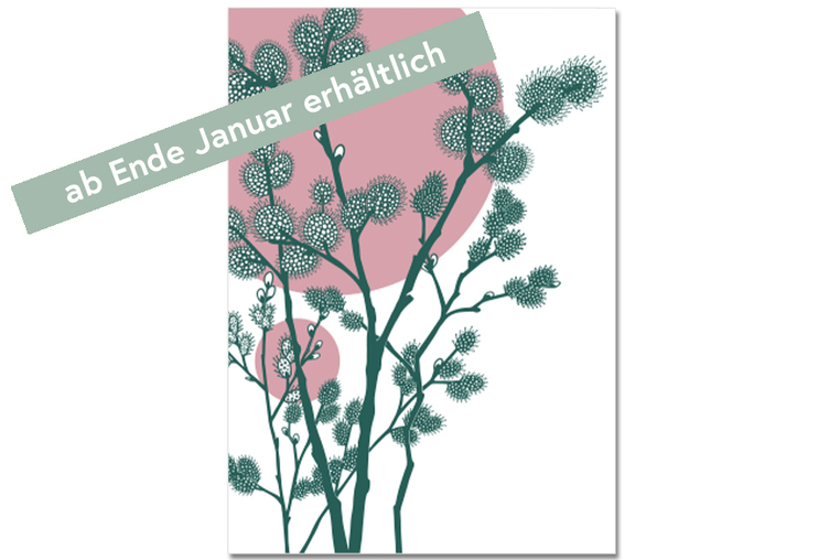 Postkarte Weidekätzchenbusch