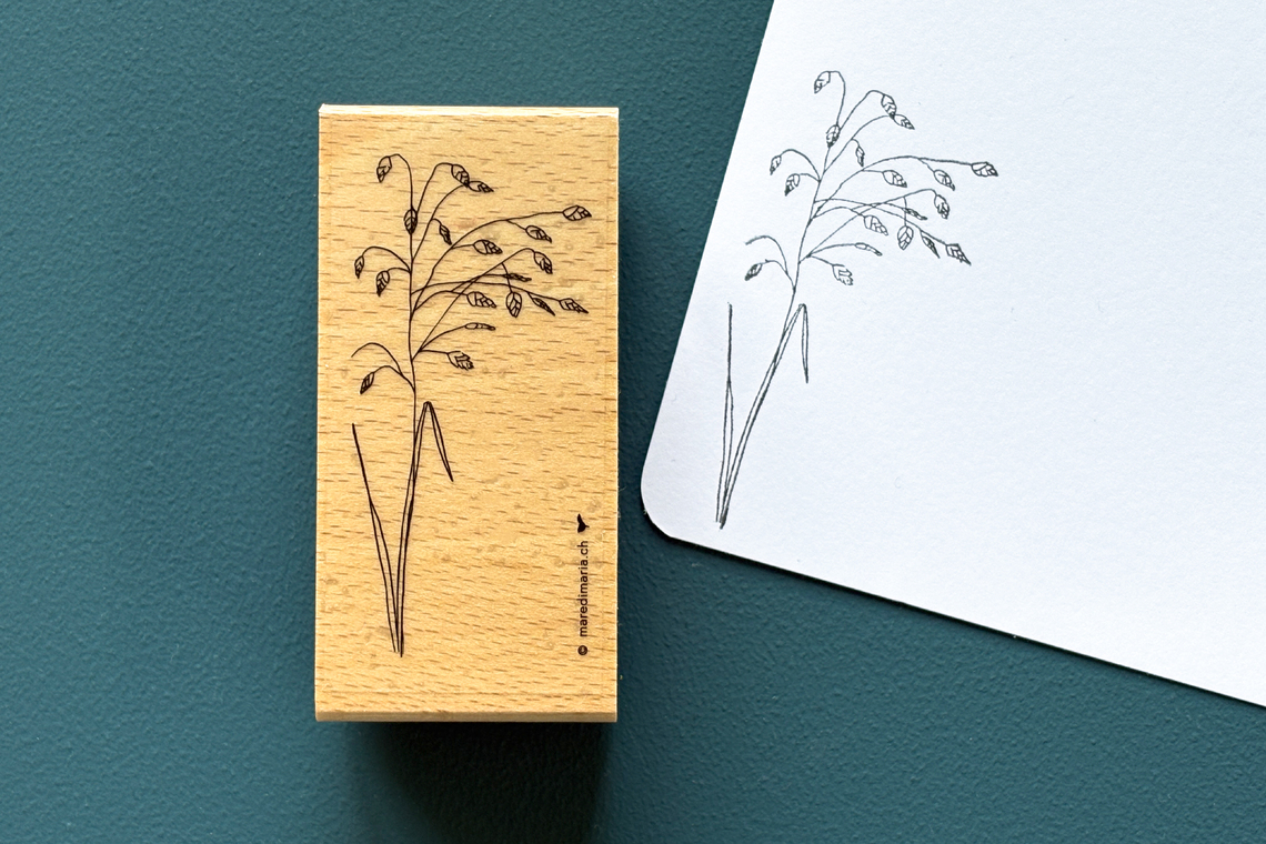 Stempel Zittergras