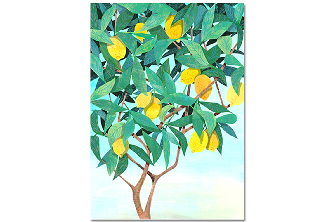 Postkarte Zitronenbaum